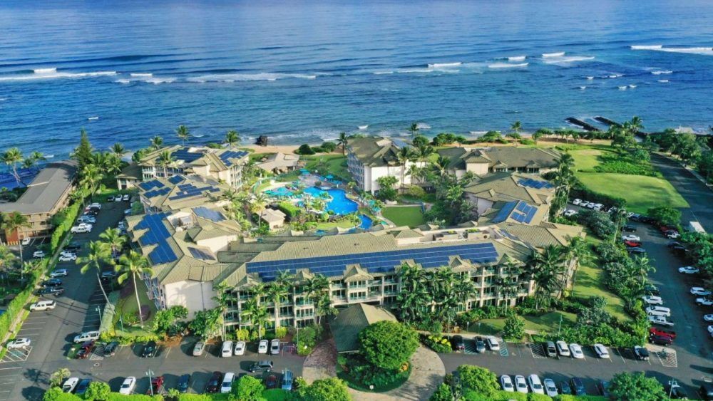Aerial view of a beachfront resort with blue ocean, green palm trees, and swimming pools.