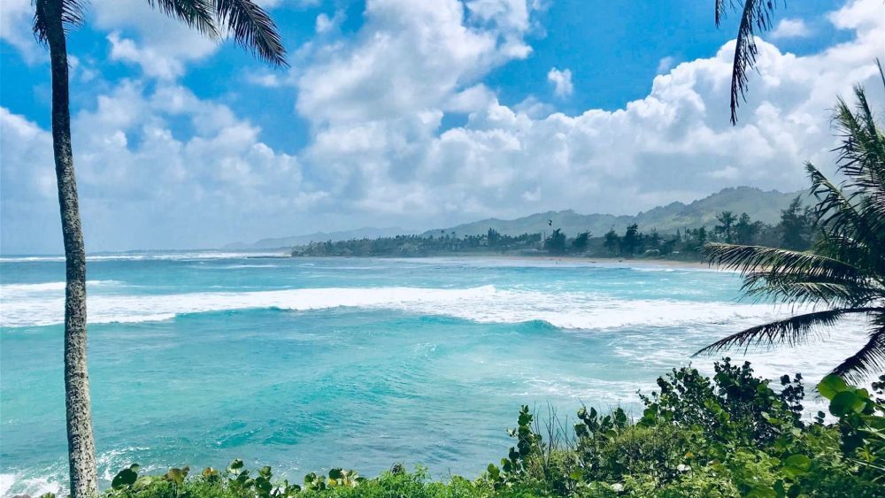 Ocean waves crash on a sandy beach under a blue sky with fluffy clouds. Palm trees frame the view.