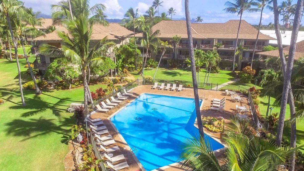 Aerial view of a swimming pool with lounge chairs surrounded by grass, palm trees, and buildings with brown roofs.