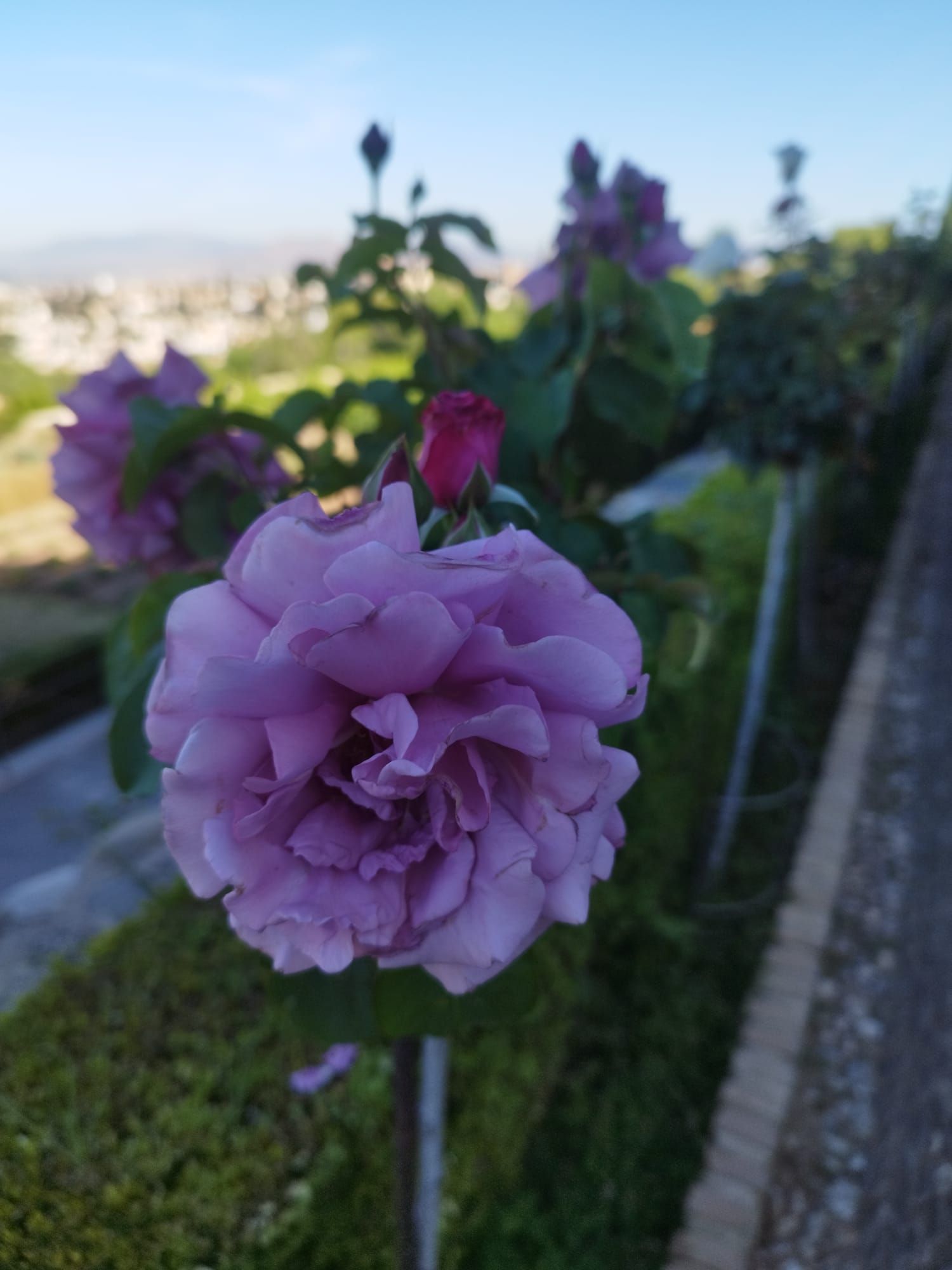 Imágenes de la Alhambra