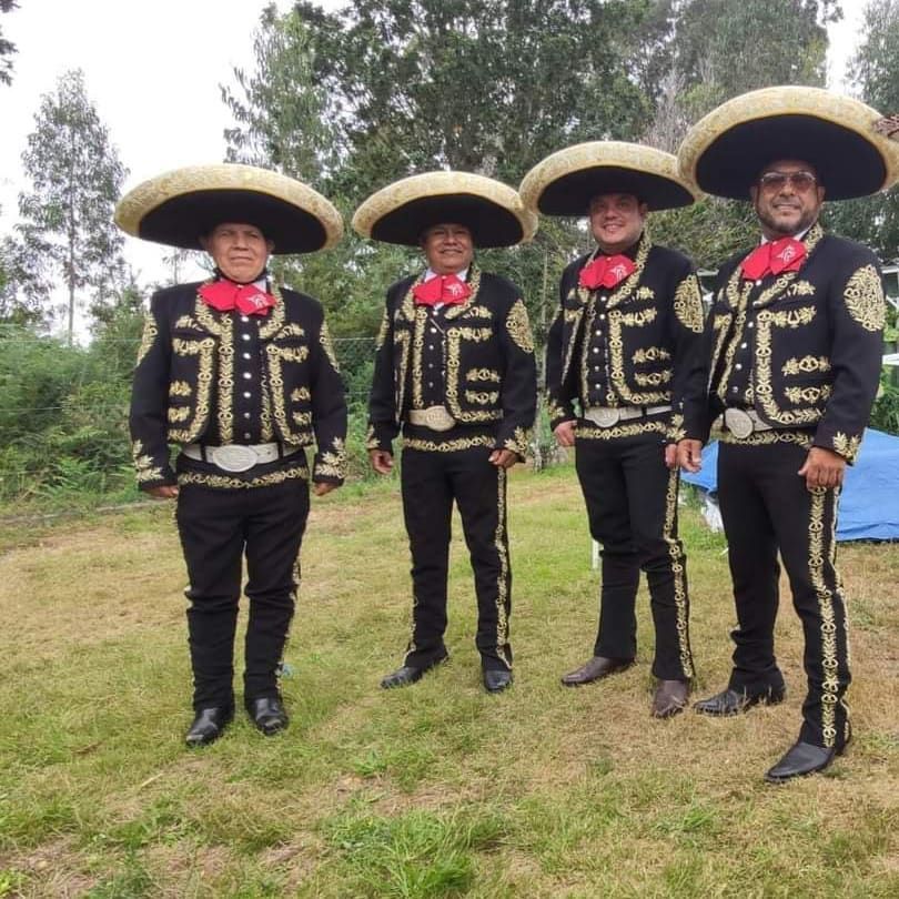Cuatro personas vestidas con trajes de mariachi negros y dorados a juego y sombreros, de pie sobre el césped al aire libre.