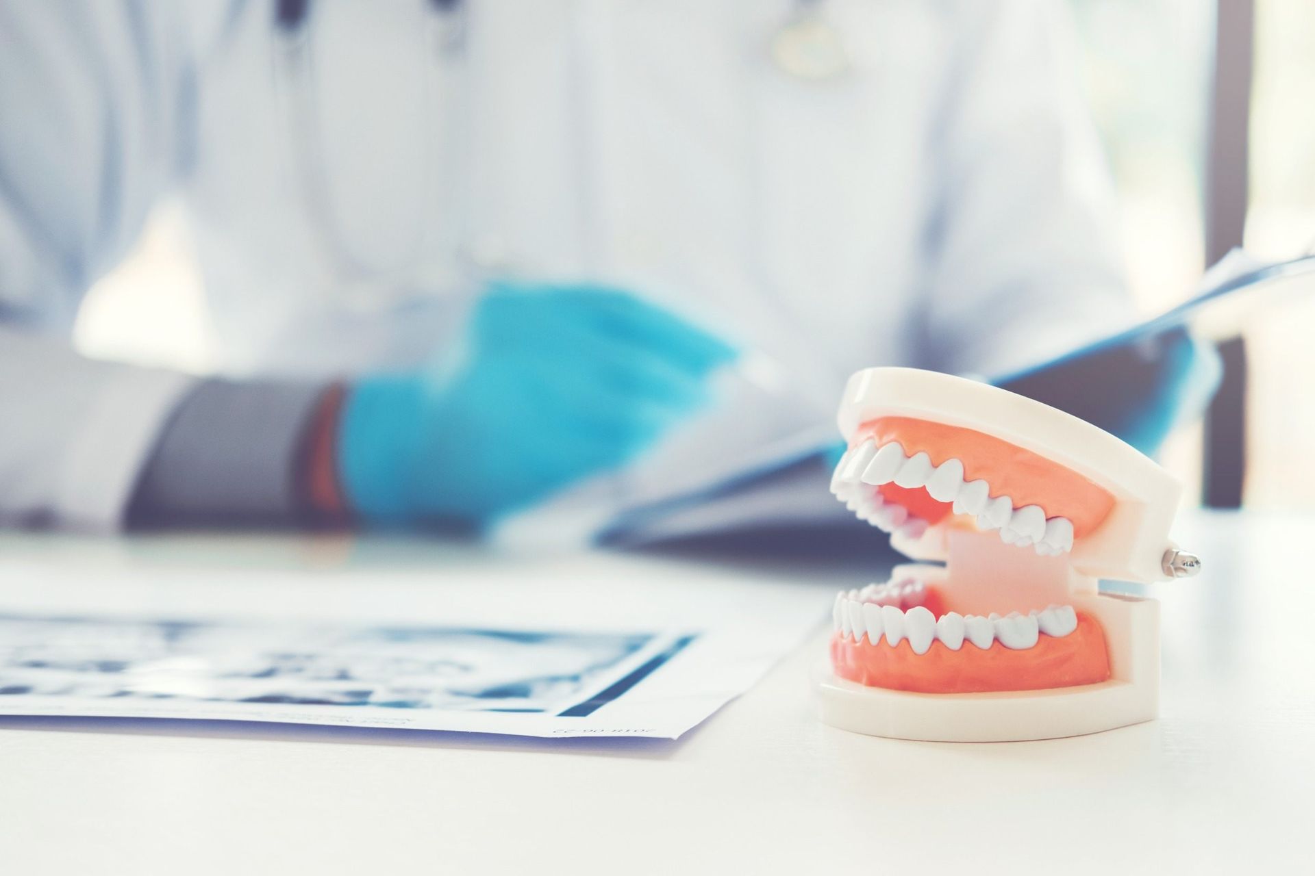Un modelo dental está sentado en una mesa al lado de un dentista.