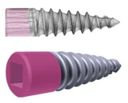 Un primer plano de un modelo de los dientes de una persona con implantes dentales.