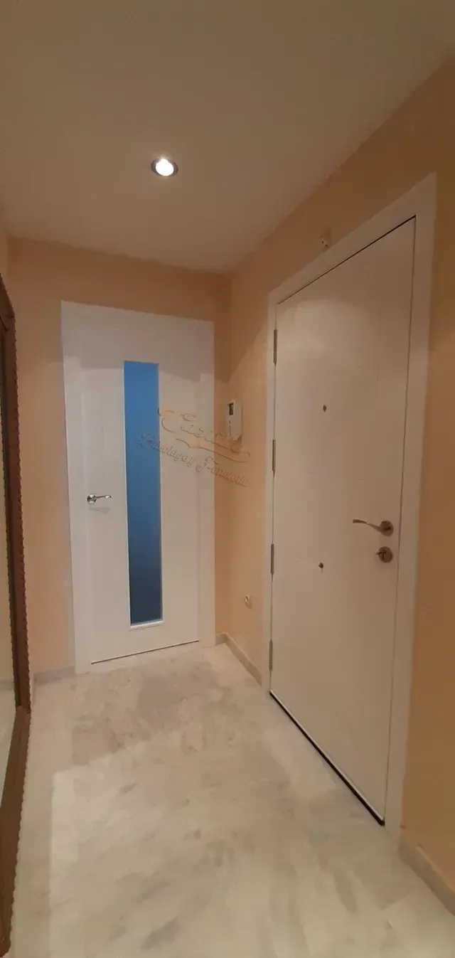 Un pasillo con una puerta blanca y una ventana.