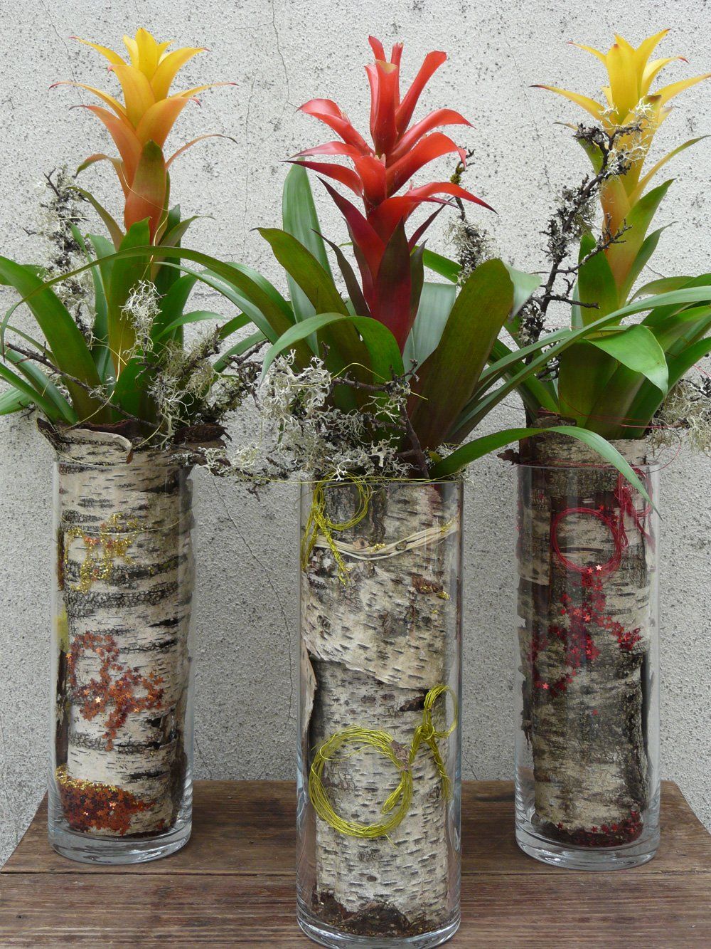 livraison de plantes