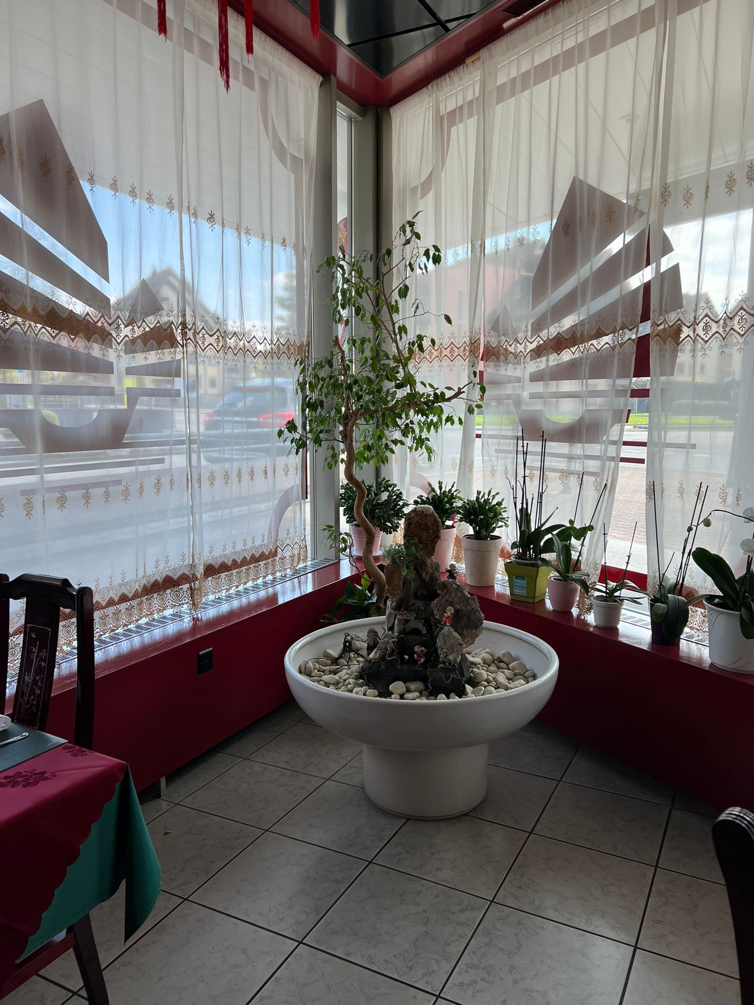 Ein Raum mit einem Tisch und Stühlen und einer Topfpflanze in der Mitte.