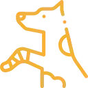 Arte lineal dorado de un perro sentado con una pata levantada.