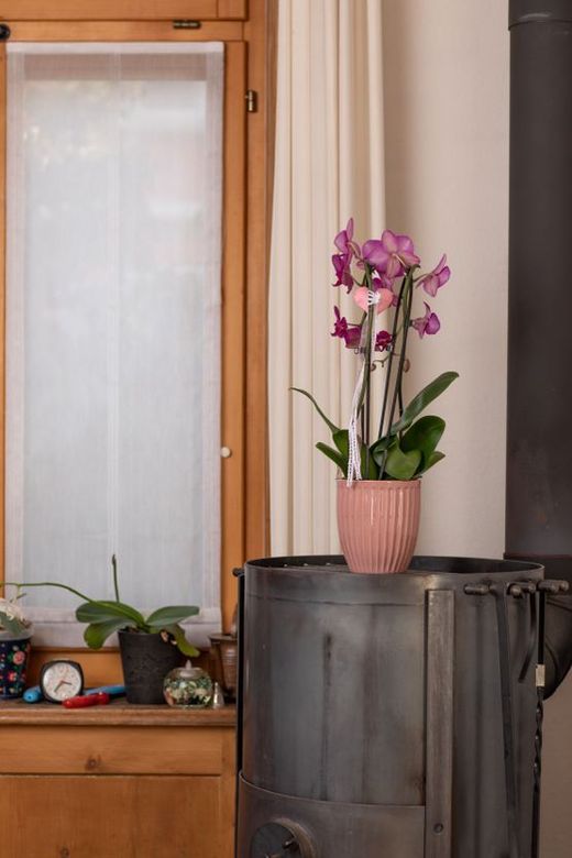 Psychologische Beratung - Annemarie Vogt - Wettingen