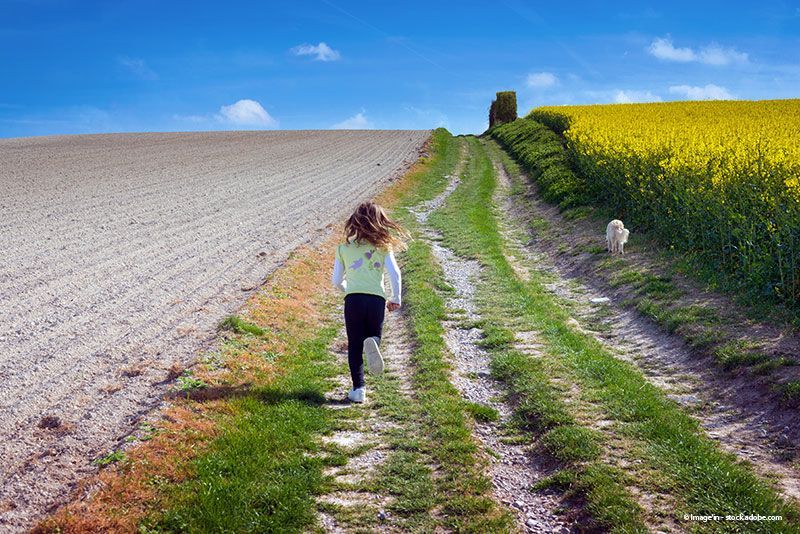 Verenas Parkhotel in Löffingen im Schwarzwald Natur