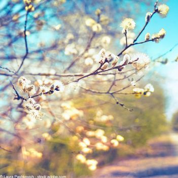 Verenas Parkhotel in Löffingen im Schwarzwald Natur 