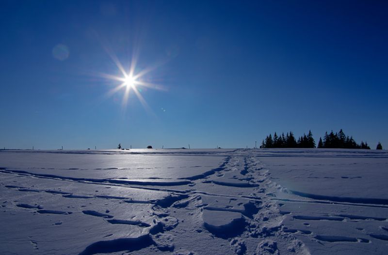 Strahlender Sonnenschein über einer verschneiten Landschaft; Spuren führen zu einer kleinen Baumgruppe. Blauer Himmel.