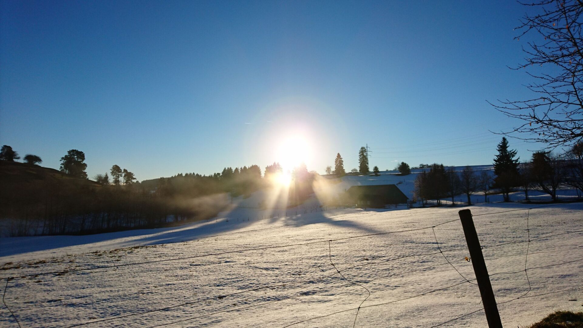 Strahlender Sonnenschein über einem schneebedeckten Feld mit Bäumen und einem Zaun an einem klaren, blauen Tag.