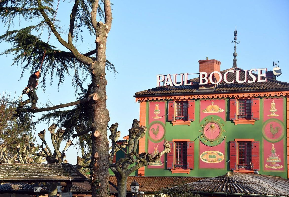 Bâtiment rouge vif aux volets verts et une enseigne Paul Bocuse à côté d'un grand arbre