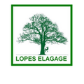 Logo de Lopes Elagage.