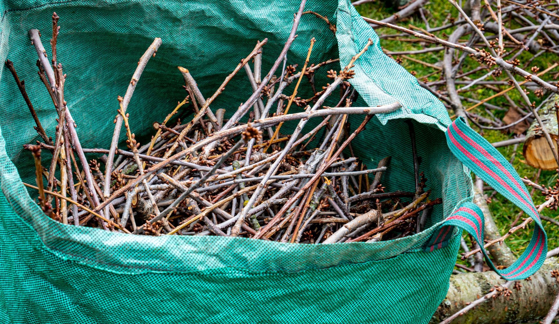 Sac en filet vert rempli de brindilles et de branches sèches à l'extérieur