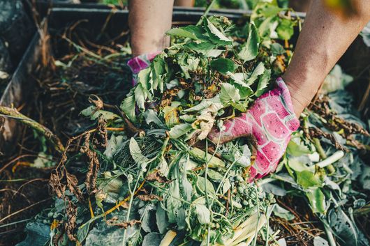 Des mains gantées enlèvent les débris végétaux verts du sol à l'extérieur