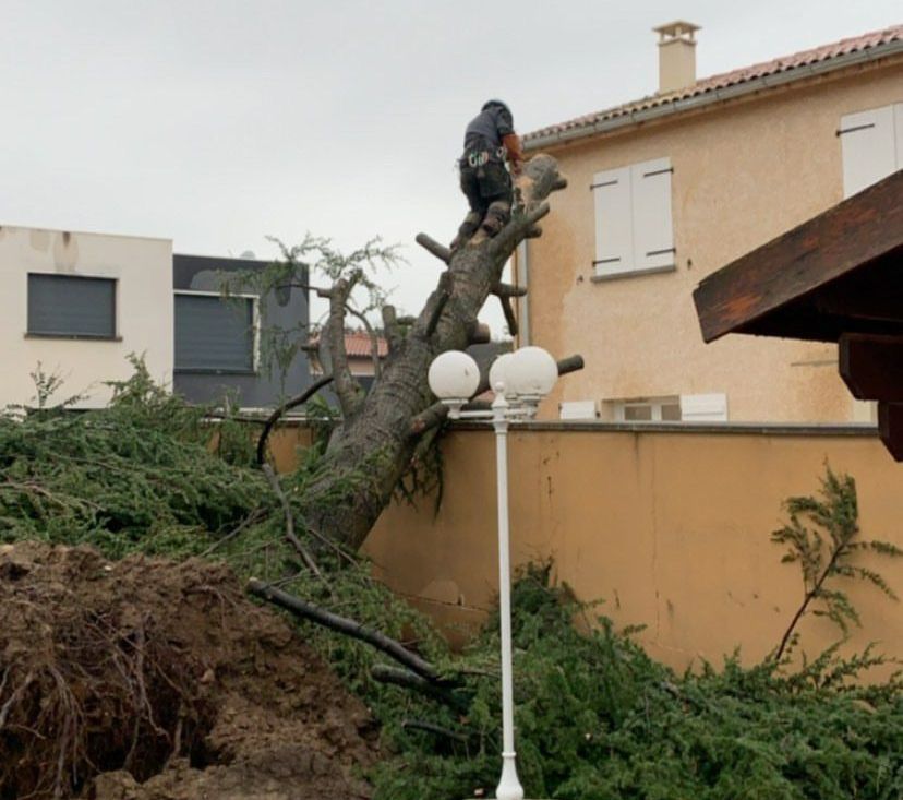 Un ouvrier travaille sur un arbre tombé, coupant les branches près d'une maison et d'un lampadaire après les dégâts causés par la tempête.