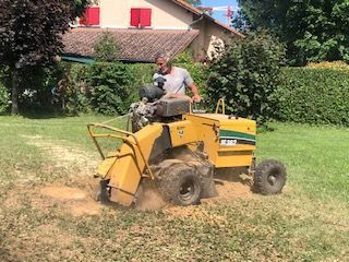 Une chargeuse compacte jaune déblaye l'herbe d'une cour, une personne la manœuvrant à l'extérieur, près d'une maison.