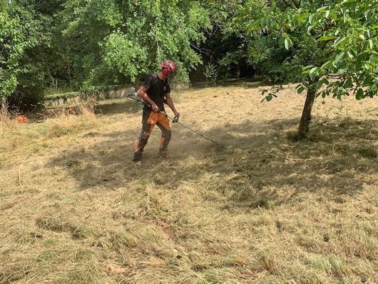 Une personne utilise une débroussailleuse dans un jardin bordé d'arbres.