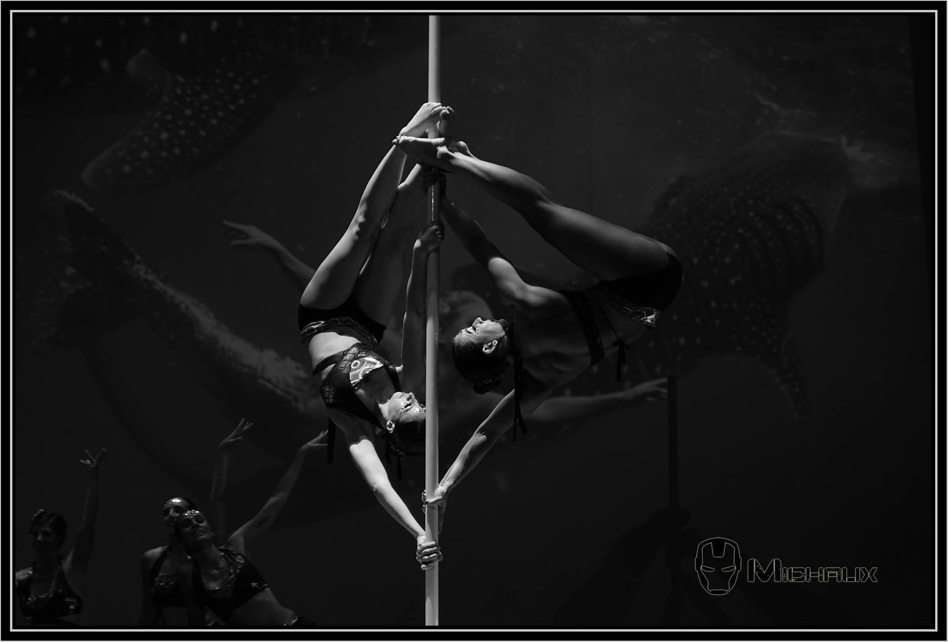 Deux femmes sur une barre de pole dance