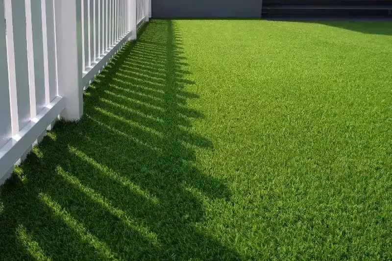 Una valla blanca proyecta sombras sobre el césped verde brillante.