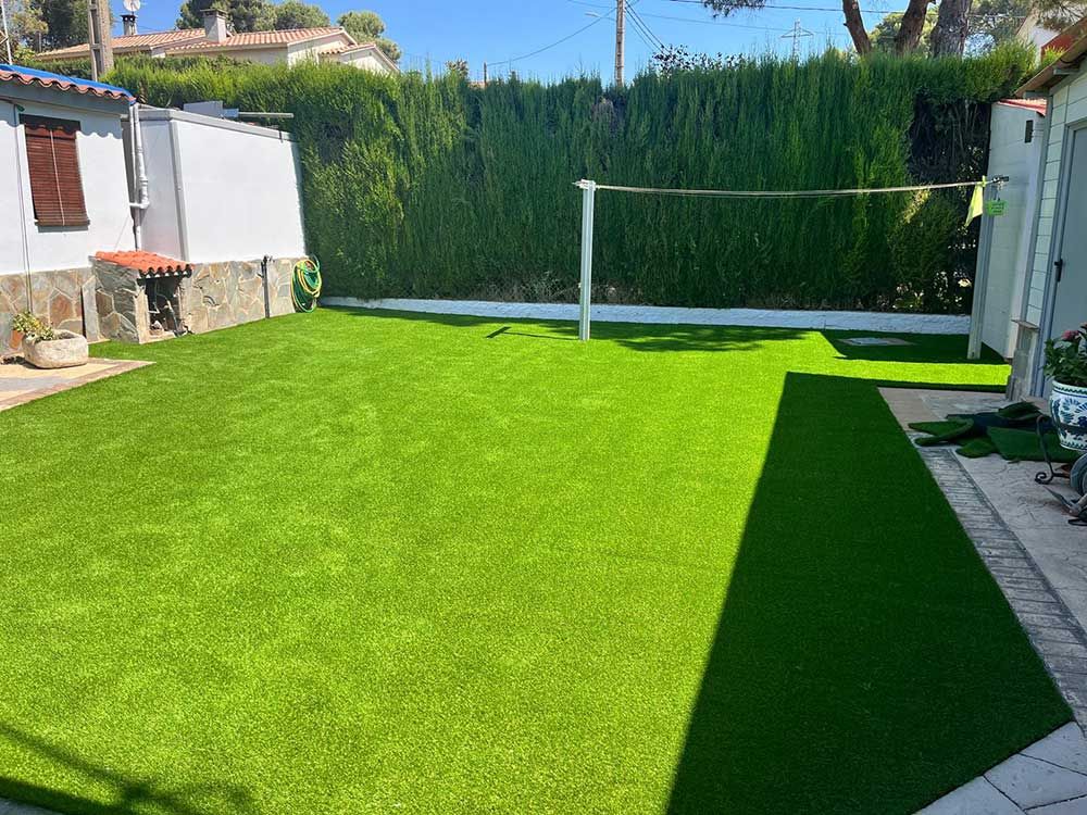 Patio trasero soleado con césped verde brillante, setos altos y una pequeña zona de patio junto a un cobertizo.