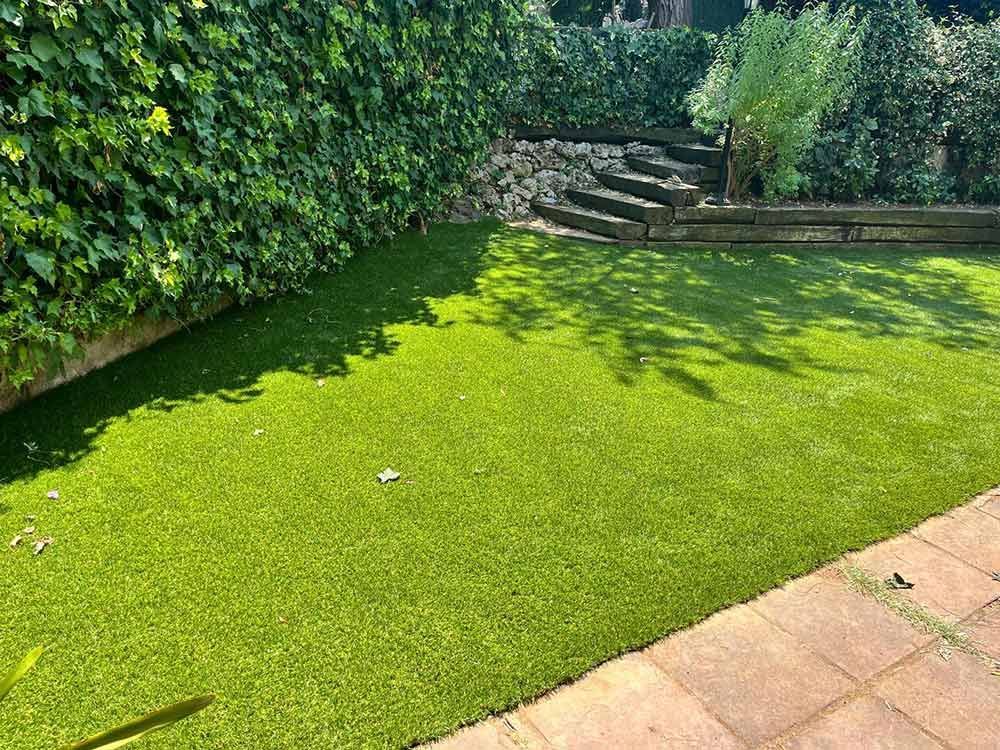 Patio trasero soleado con un césped verde exuberante, escalones de piedra, muro cubierto de hiedra y baldosas de patio.