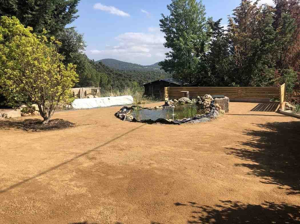 Patio de tierra seca con un pequeño estanque circular, árboles y colinas bajo un cielo despejado.