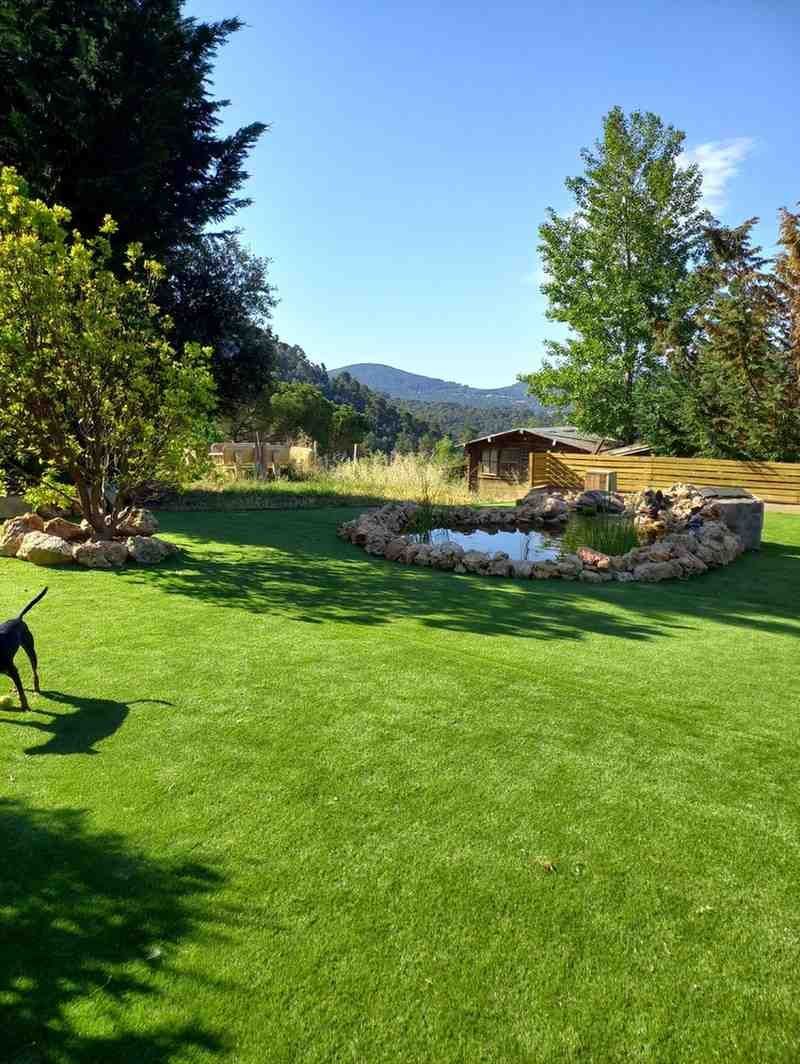 Jardín trasero soleado con césped, estanque, borde de piedra, árboles y montañas al fondo.