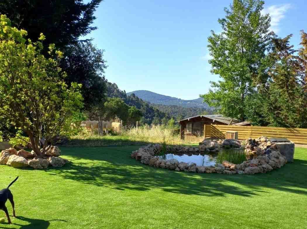 Jardín trasero soleado con césped verde, macizo de flores de piedra, pequeño cobertizo y montañas en la distancia.