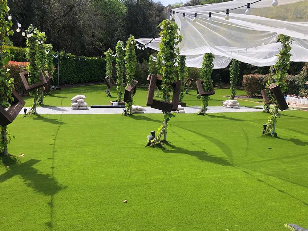 Césped con hileras de plantas topiarias en macetas bajo un dosel blanco en un jardín.