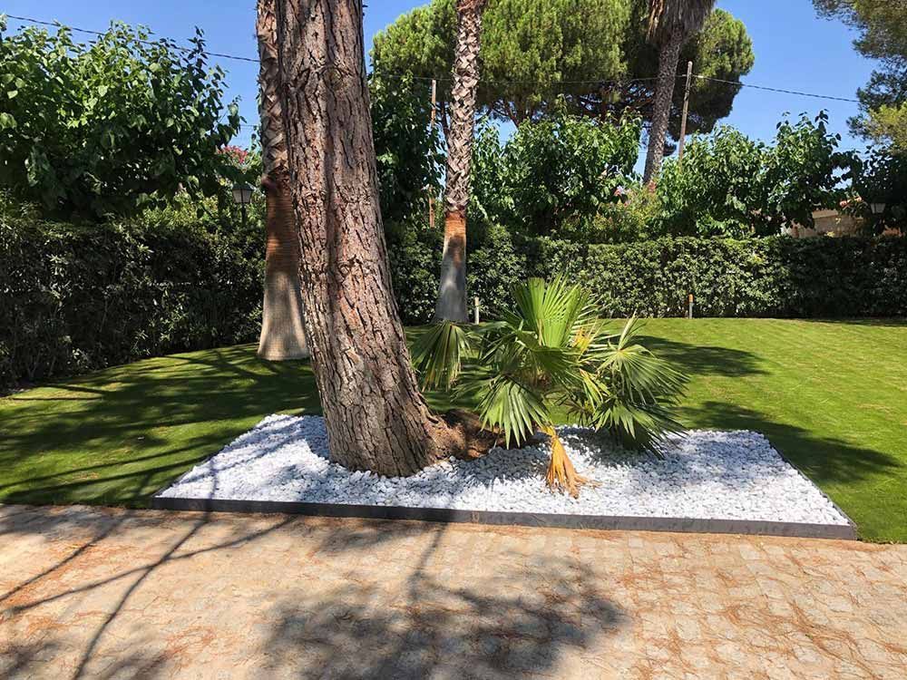 Jardín paisajístico con un gran árbol, una pequeña palmera, un lecho de grava blanca y un césped verde bien cuidado.