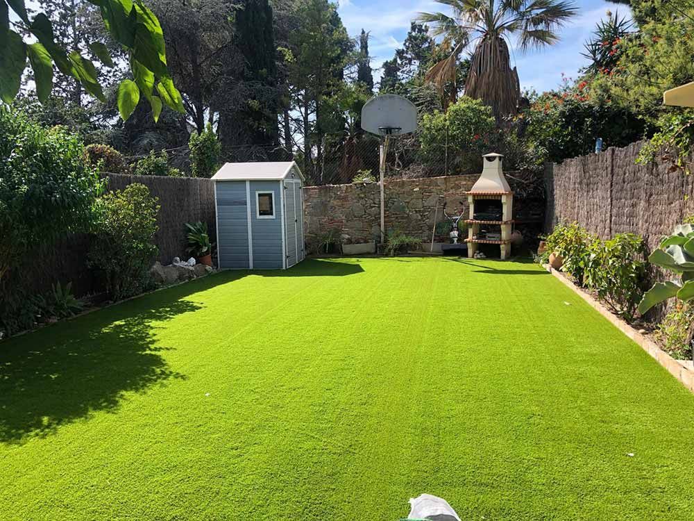 Patio trasero soleado con césped verde brillante, un pequeño cobertizo, una canasta de baloncesto y una zona de barbacoa de ladrillo entre plantas tropicales.