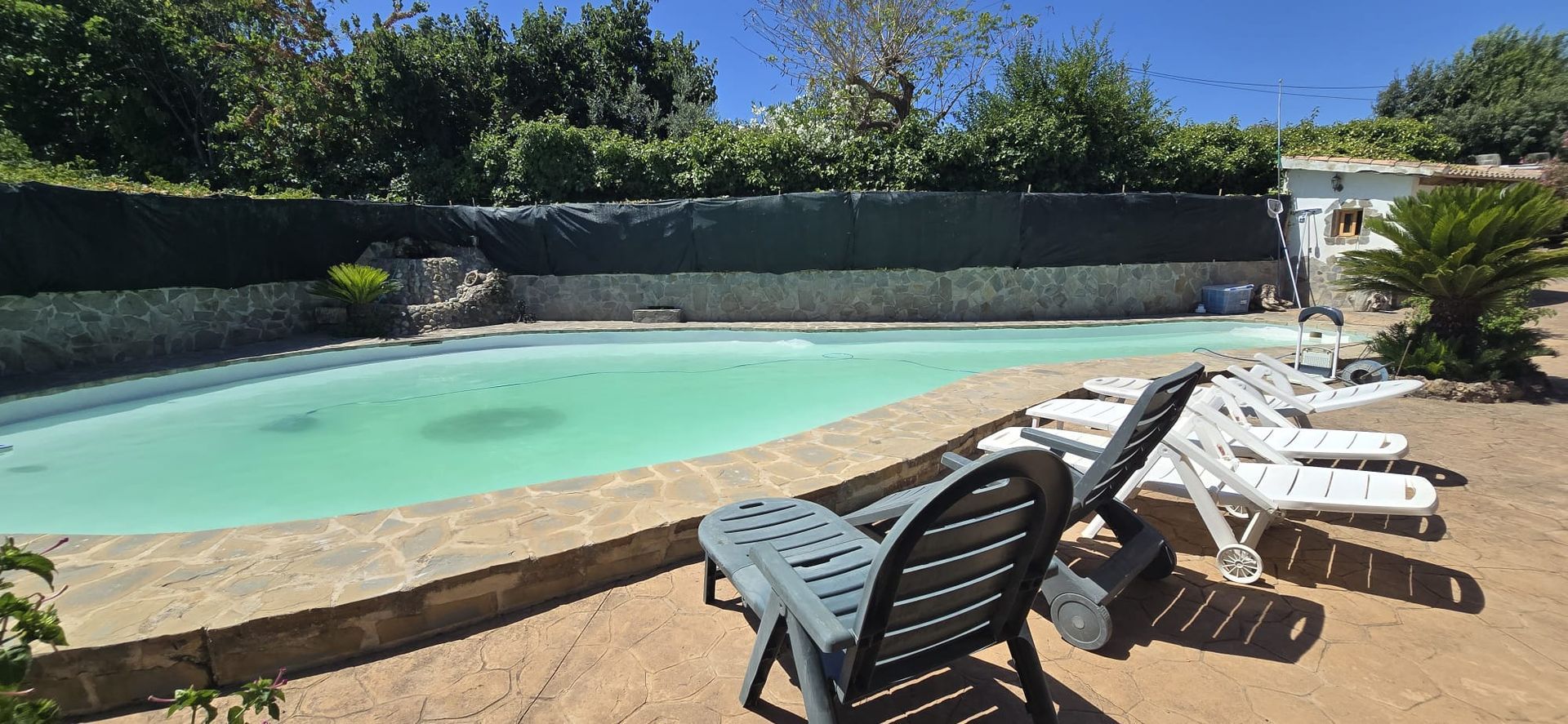 Piscina con sillas en un día soleado; agua verde, cielo azul y fondo verde.