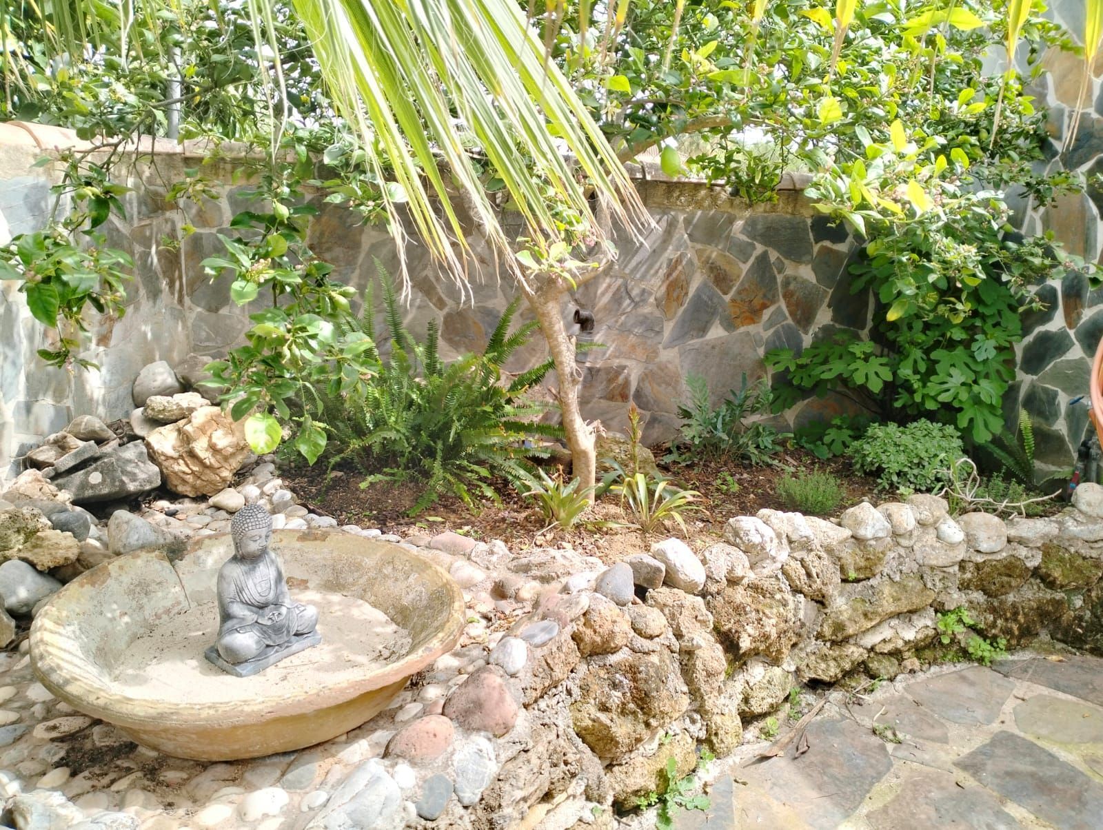 Jardín zen con estatua de Buda, paredes de roca y exuberante vegetación.