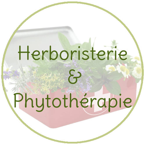 Phytothérapie à Toulouse