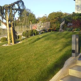 Wiese - Imhof-Giardino GmbH