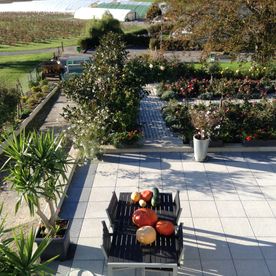 Sitzplatz - Imhof-Giardino GmbH