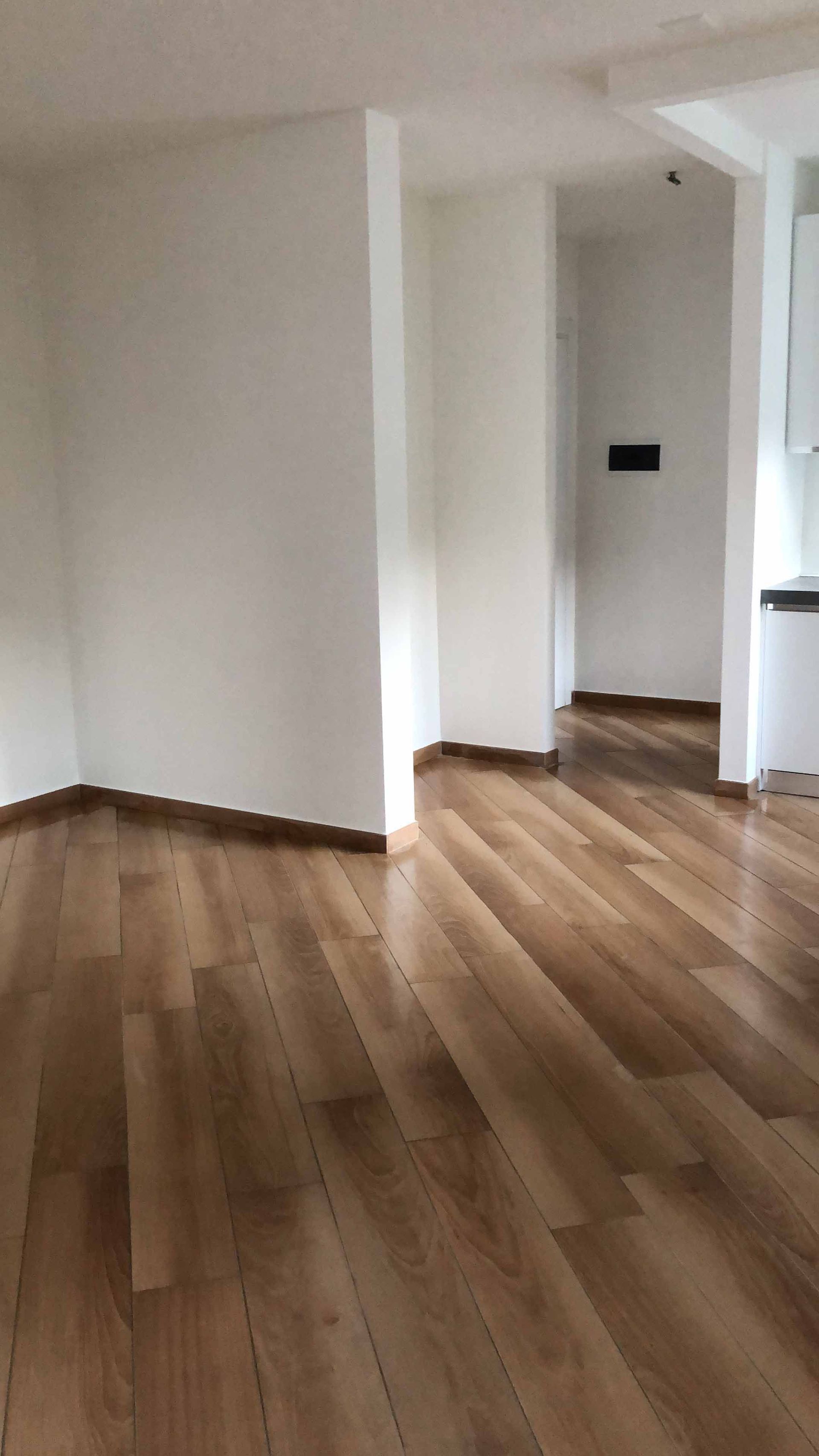 Impresa di pulizie Leone