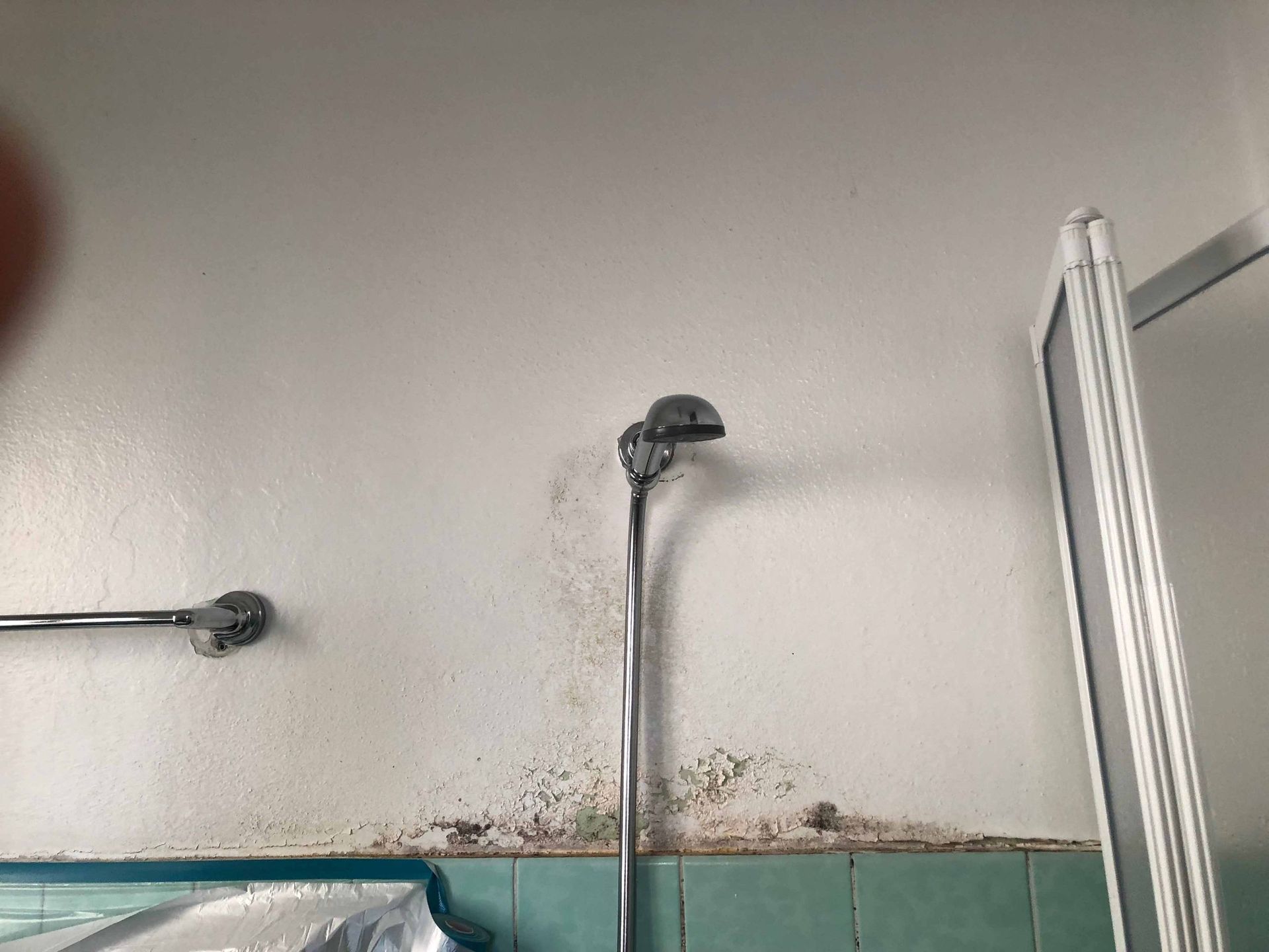 Igienizzazione doccia con muffa - Impresa di pulizie Leone
