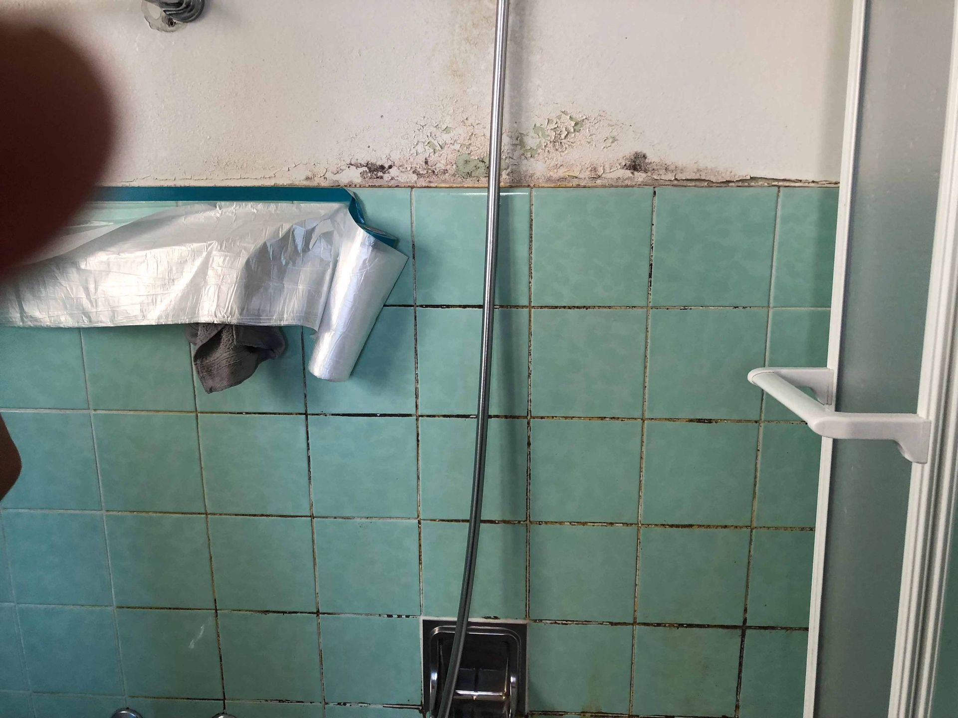 Pulizia muffe bagno - Impresa di pulizie Leone