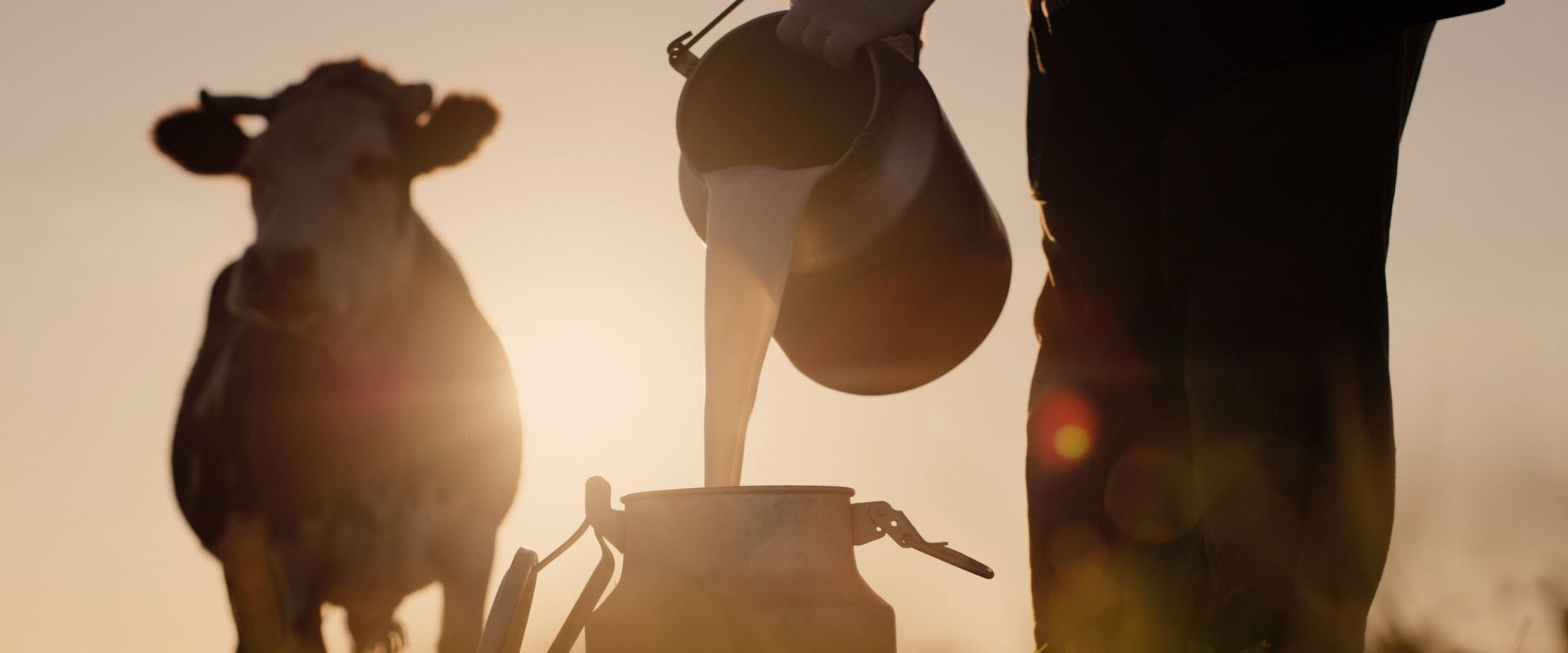 Agrofarm Sàrl|Sâles
