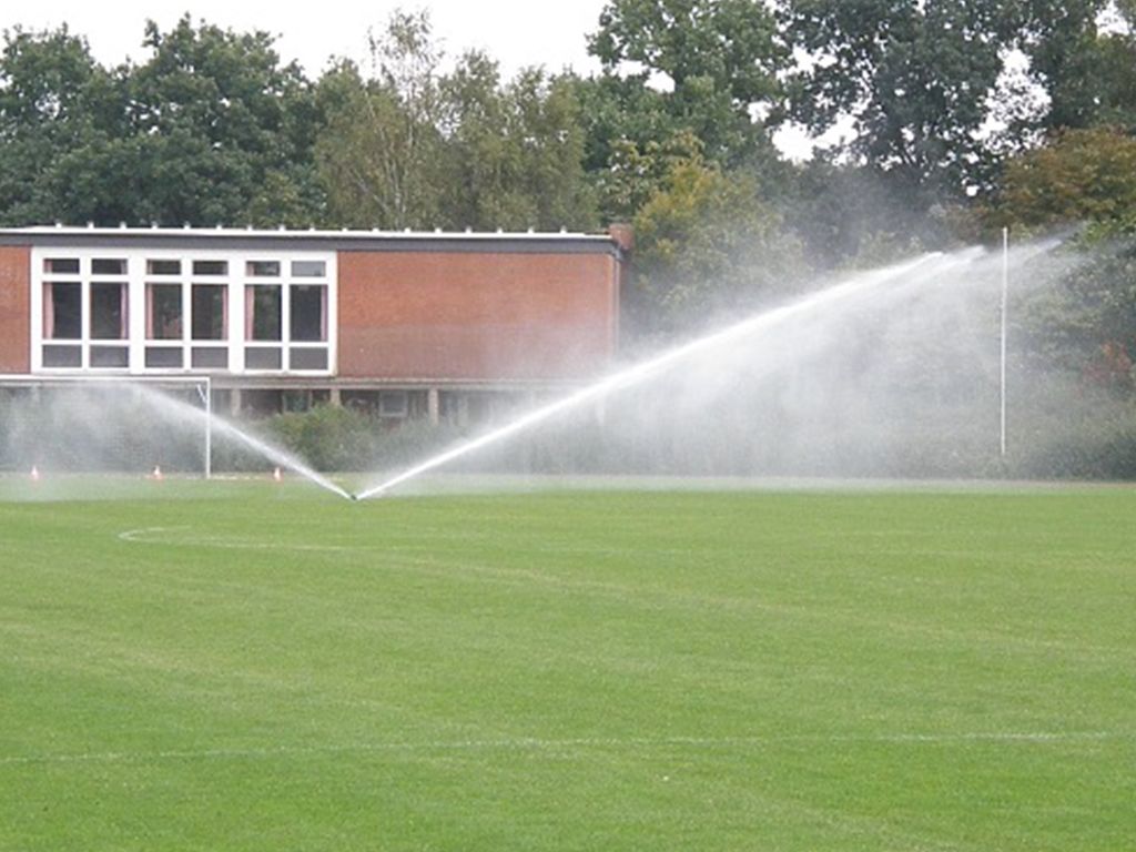 Ein Sprinkler sprüht Wasser auf ein üppiges grünes Feld