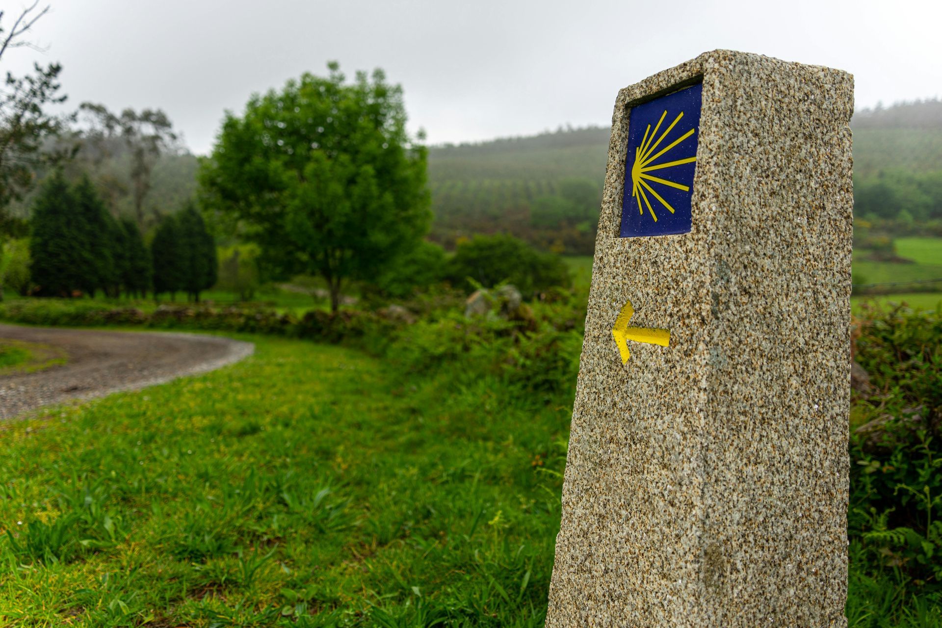 Marcador de piedra con flecha amarilla, sendero del Camino de Santiago.