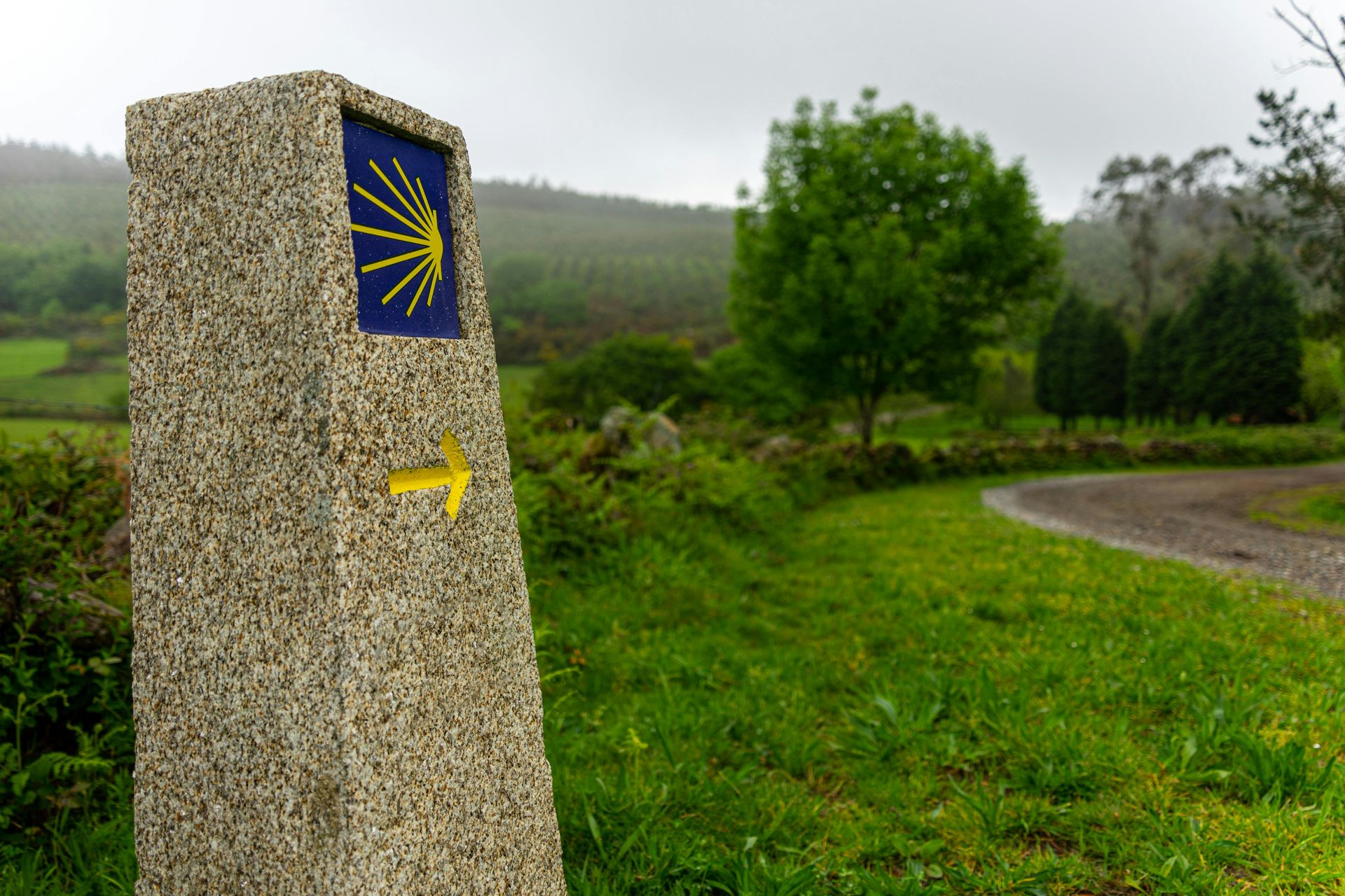 Marcador de piedra con flecha amarilla, símbolo del Camino de Santiago, que apunta hacia un camino en un paisaje verde.