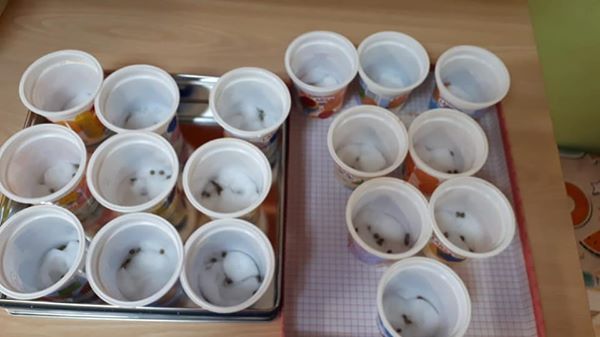 Un montón de vasos de plástico están sobre una mesa.