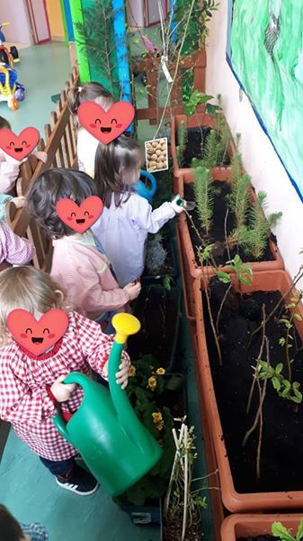 Un grupo de niños está regando las plantas en un jardín.