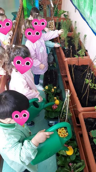 Un grupo de niños riega las plantas con una regadera verde.