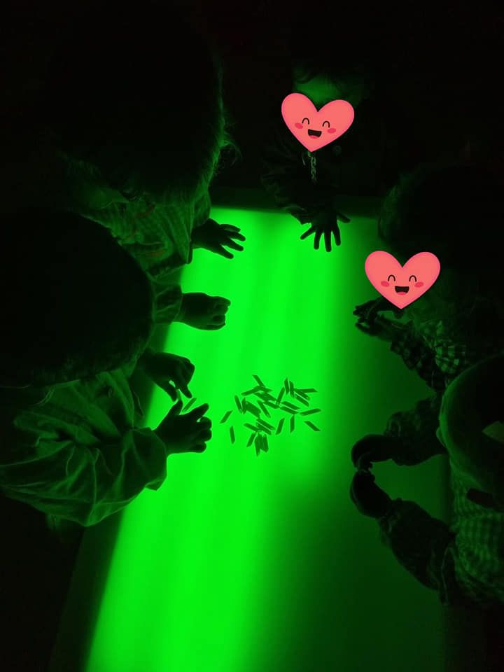 Un grupo de niños está jugando con palos que brillan en la oscuridad.