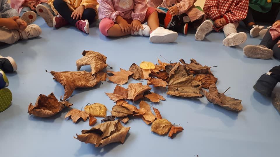 Un grupo de niños están sentados en el suelo con hojas en el suelo.